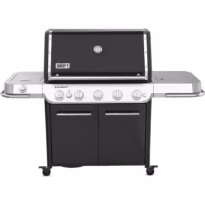 Weber Summit FS38 E gasolgrill